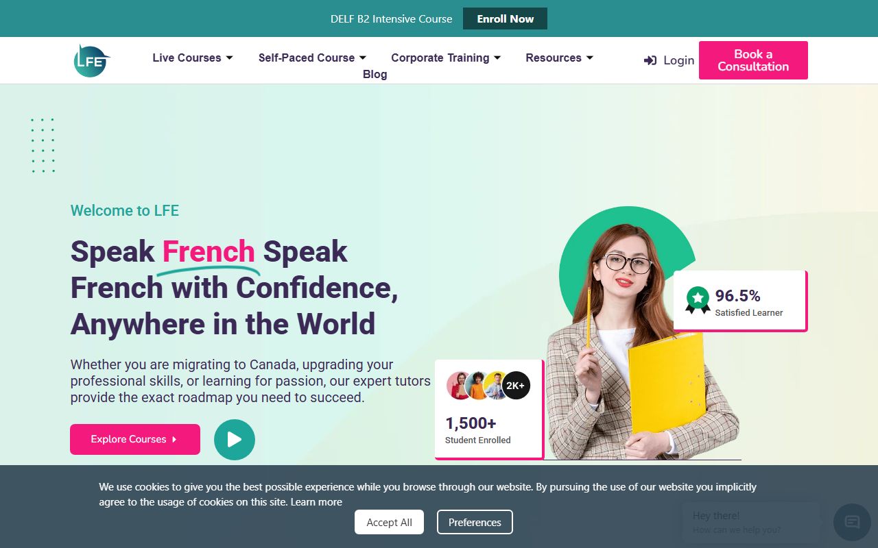 Learn French Enligne website preview