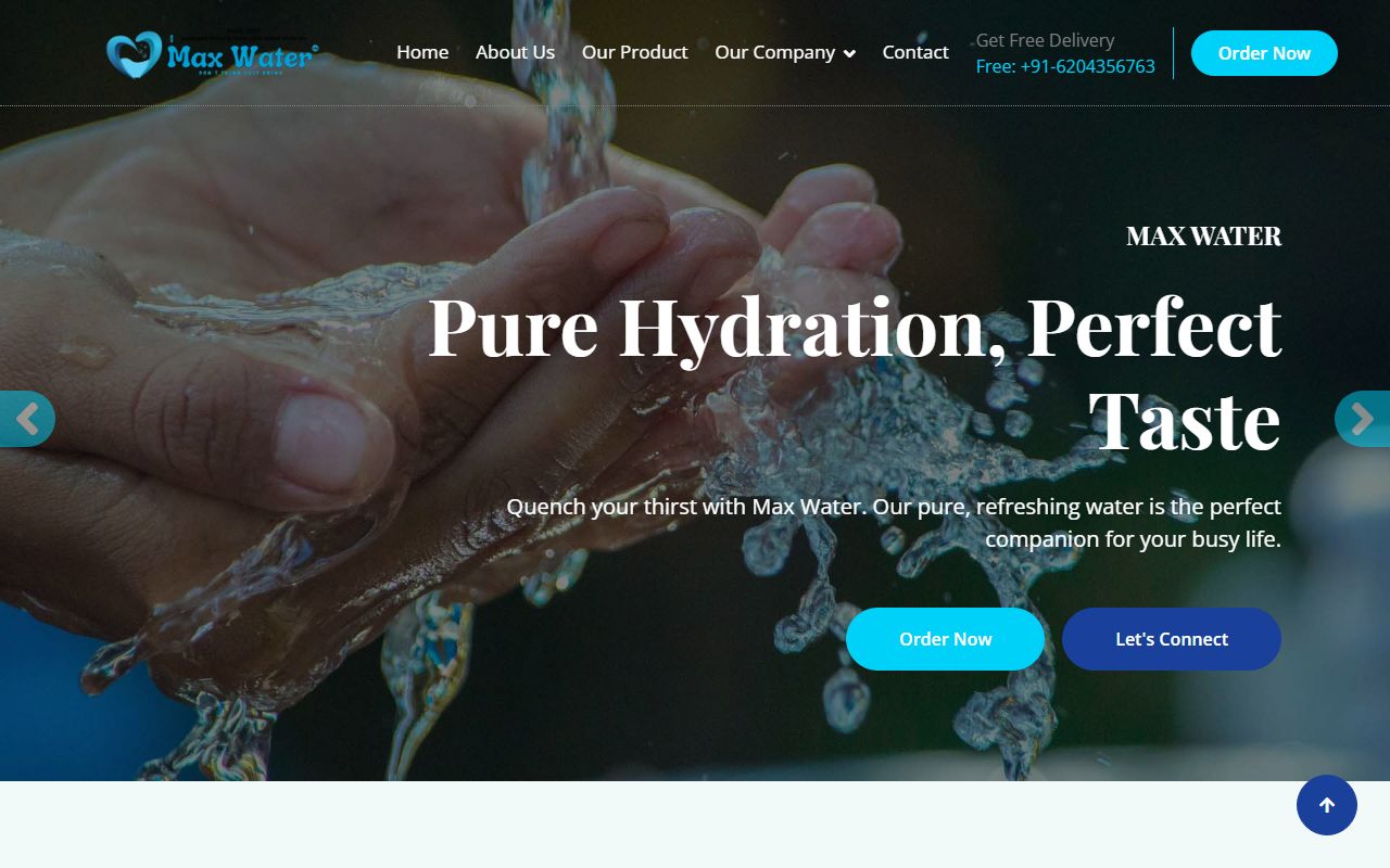 Max Water website preview